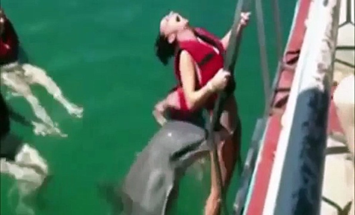 Funny Hot Girls ;-) Funny Fails - Funny Pranks - Stupid People