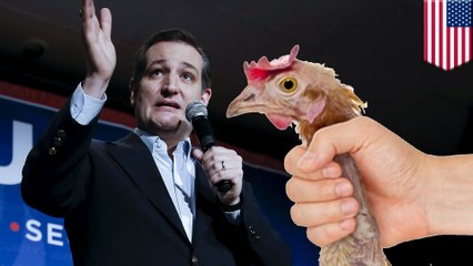 Ted Cruz 'has jerked off to porn a million times,' says college roommate