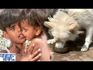 दूध रोटी कुकुरा खाता बबुआ छटपटाता - Sugi - Master Sami - Bhojpuri Sad Songs 2015 new