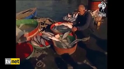 1967'nin İstanbul'unu görmek ister misiniz