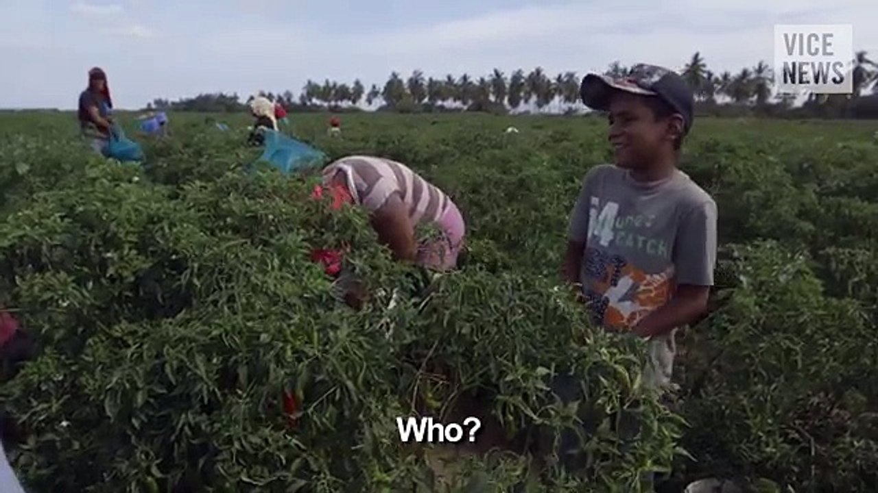 VICE News' Highlights of 2015 24