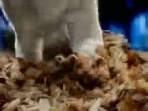 Vraie-souris-ordinateur