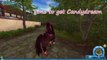 Star Stable - Maxing my Icelandic horse - Candydream