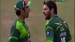 Watch Shahid Afridi and Misbah Ul Haq Fight During Match
