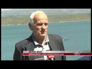 Ulez, rrezikohet zhdukja e peshkut - News, Lajme - Vizion Plus