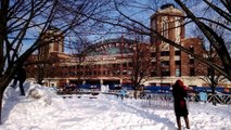 Chicago Navy Pier