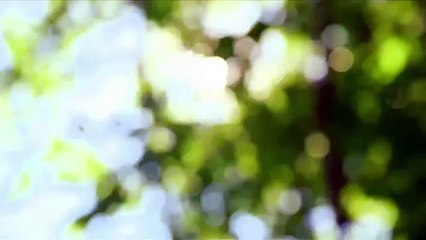 WATCH LIVE Canada Votes CBC News Election 2015 Special 7