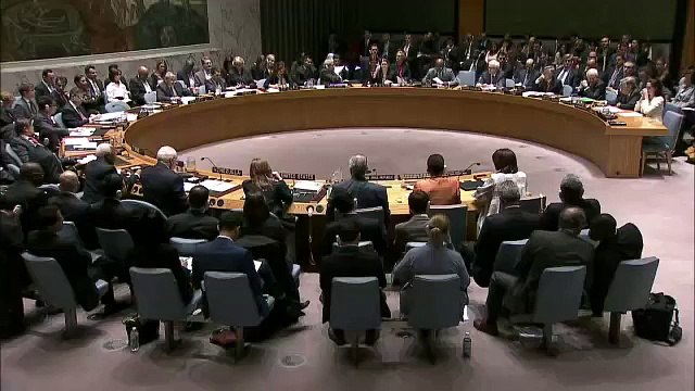 Angelina Jolie on Middle East (Syria) Security Council meeting