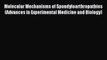 Read Molecular Mechanisms of Spondyloarthropathies (Advances in Experimental Medicine and Biology)