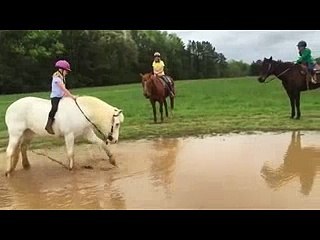 Suyu Görünce Üzerindeki Ufaklığı Suya Atan At