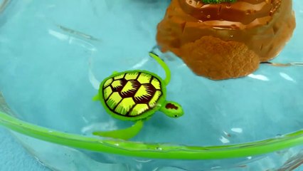 Даник играет с РобоЧерепашками - Видео для детей с интерактивными игрушками