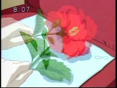 AMV Mermaid Melody Pichi Pichi Pitch Pure