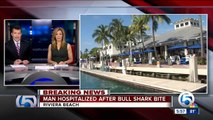 Bull shark bites diver