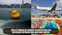 Real Or Fake? Photos You Wont Believe!