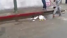 Il mange un méchant coup de pied bien mérité pour avoir trollé la mauvaise personne