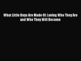 Ebook What Little Boys Are Made Of: Loving Who They Are and Who They Will Become Read Full