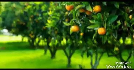 agri le mag generique fictif tf1