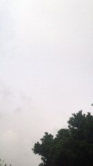 يوم الاربعاء ١٤٣٧/٧/٦ هـ