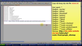 Đưa file robots.txt lên webmaster google