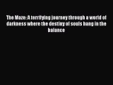 Book The Maze: A terrifying journey through a world of darkness where the destiny of souls