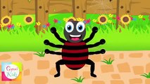 Incy Wincy Spider Itsy Bitsy Spider Nursery Rhyme Kids Animation Rhymes Songs