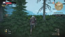 The Witcher 3: Wild Hunt Multiplying Bear Glitch