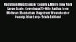 Read Hagstrom Westchester County & Metro New York Large Scale: Covering a 75-Mile Radius from