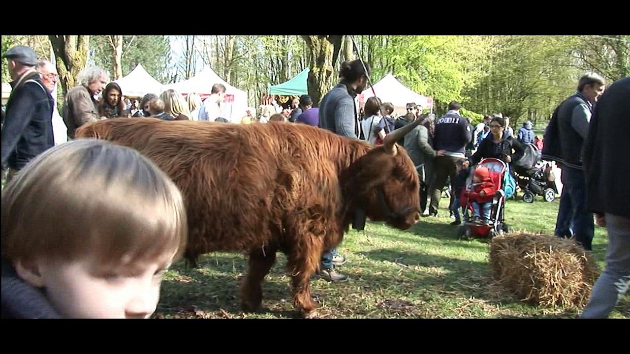 La Bimensuelle Crespin Television du 16 avril 2016