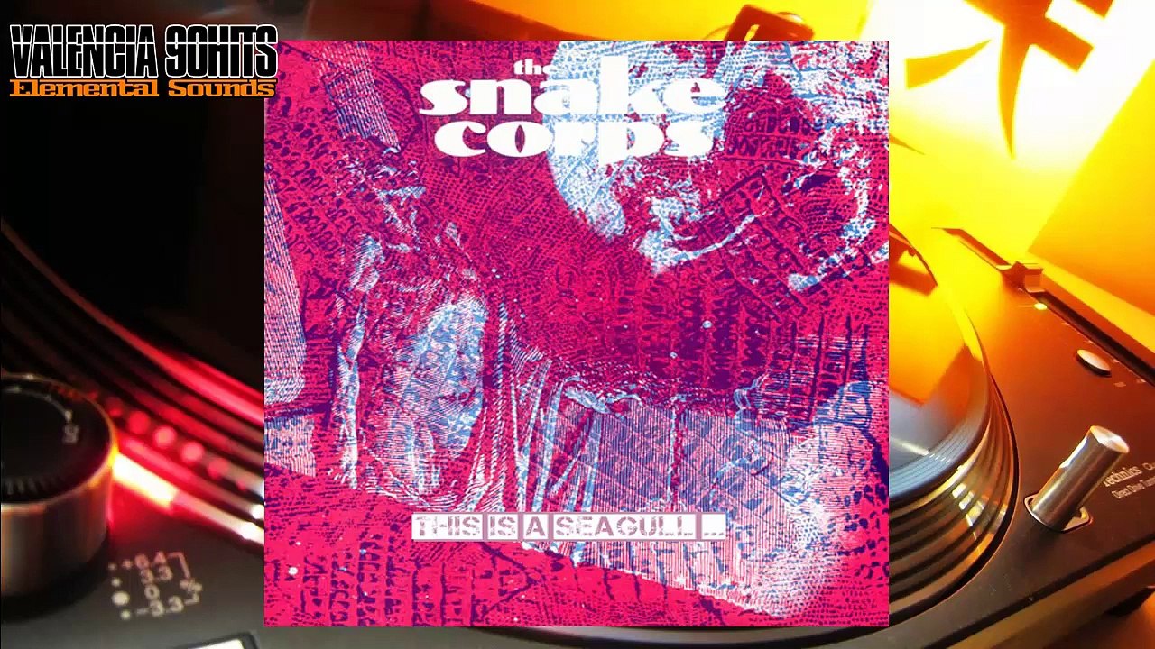 The Snake Corps -This is a Seagull [1989]