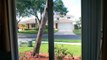 2958 Sunset Vista Blvd Kissimmee Florida Home For Sale