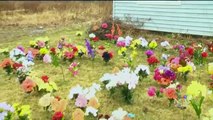 Flower garden finds new home, brightens life of patient