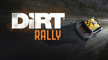 Gameplay Dirt Rally (7)
