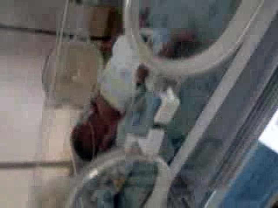 Si Kembar di inkubator