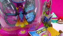Interactive Little Live Pets Flutter Wings Butterflies   Habitat Toy Review Cookieswirlc V