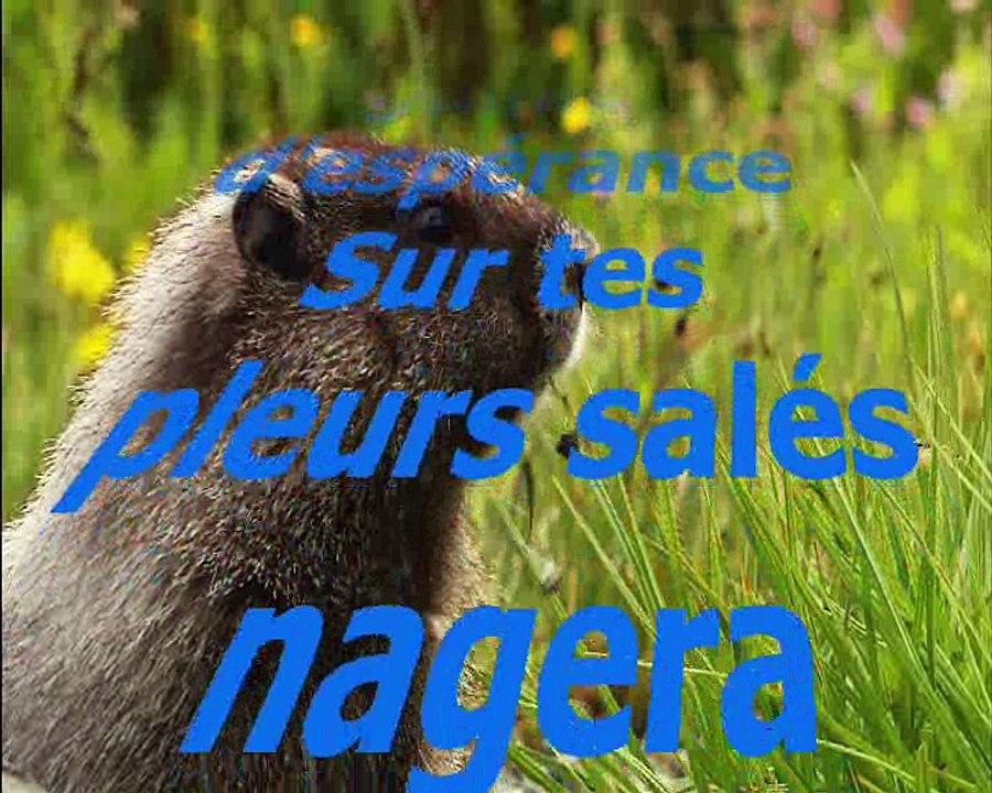 L'Héautontimorouménos