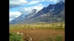 Peru News: Soil mapping technology to help Peruvian farmers