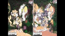 Peru News: Satellite images show illegal mining continues in Madre de Dios reserved zones