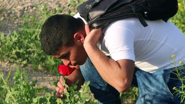İbo Gül Serzenish Efecan Mutluluk sende kimsin 2011