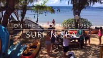 Surf N Sea SUP and Kayak Rental   Surf N Sea HALEIWA SUP RACE Presented by O'Neill Promo