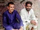 Pakistani pigeons amanat butt sialkot