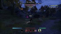 The Elder Scrolls Online: fun with magicka nightblade #2