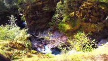 60 seconds of Island Life | Vancouver Island | British Columbia | Canada