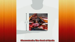 FREE DOWNLOAD  Charcutería The Soul of Spain  BOOK ONLINE
