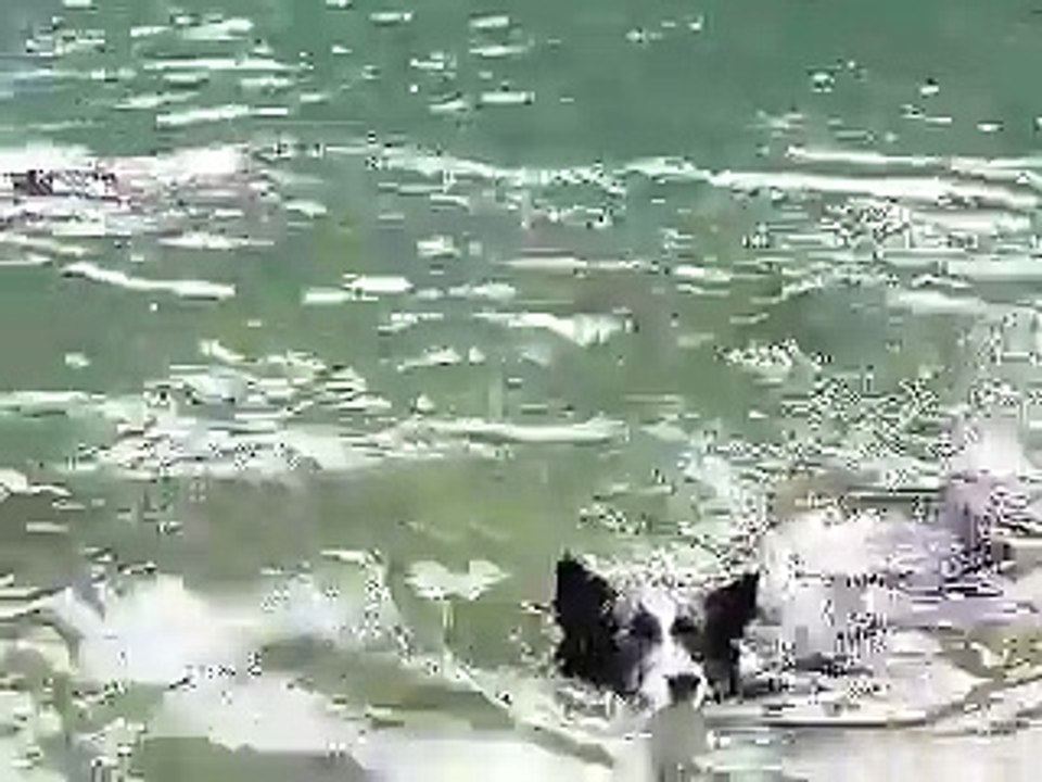 親子孫