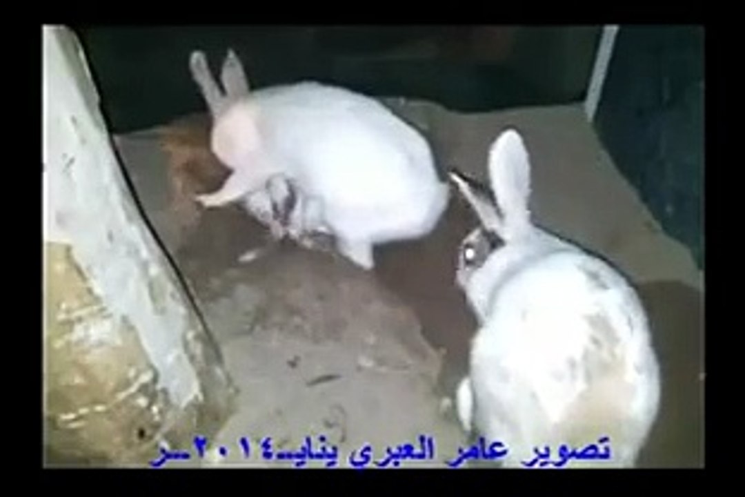 new_2014_allah_ki_qudrat_allah_ki_shaan_miracle_of_allah_must_watch_share_dont_ignore