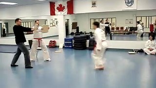 Double front snap kick