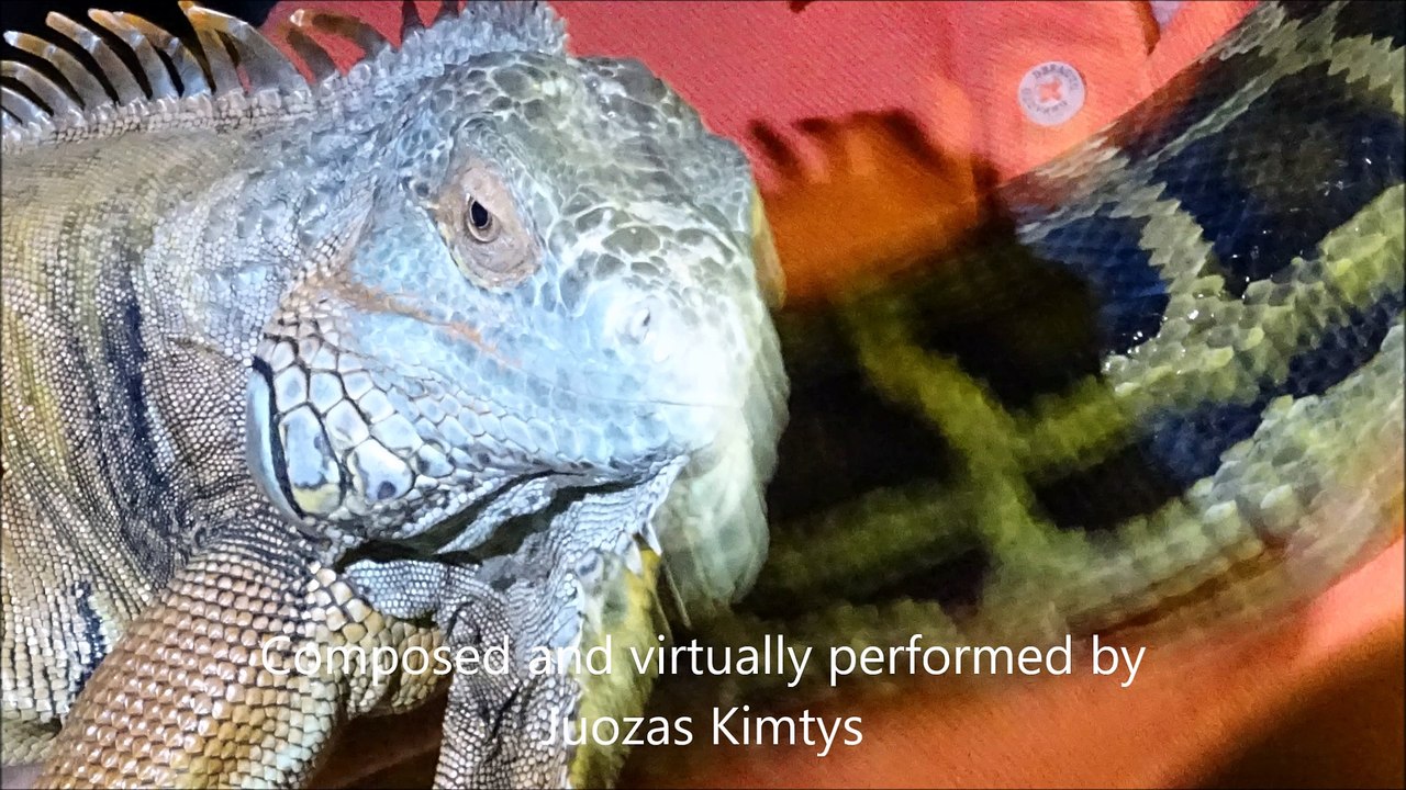 Muzikos Sekluma 17
