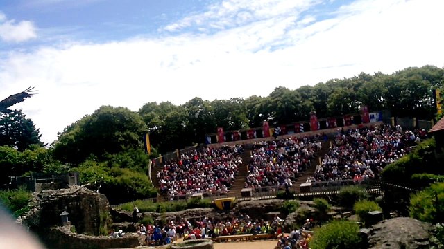 le puy du fou . les rapaces