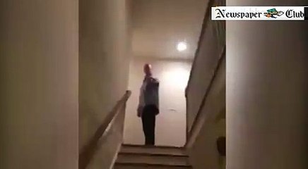 Flying Squirrel Glides Down A Flight Of Stairs