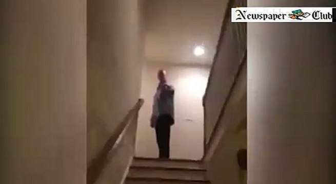 Flying Squirrel Glides Down A Flight Of Stairs